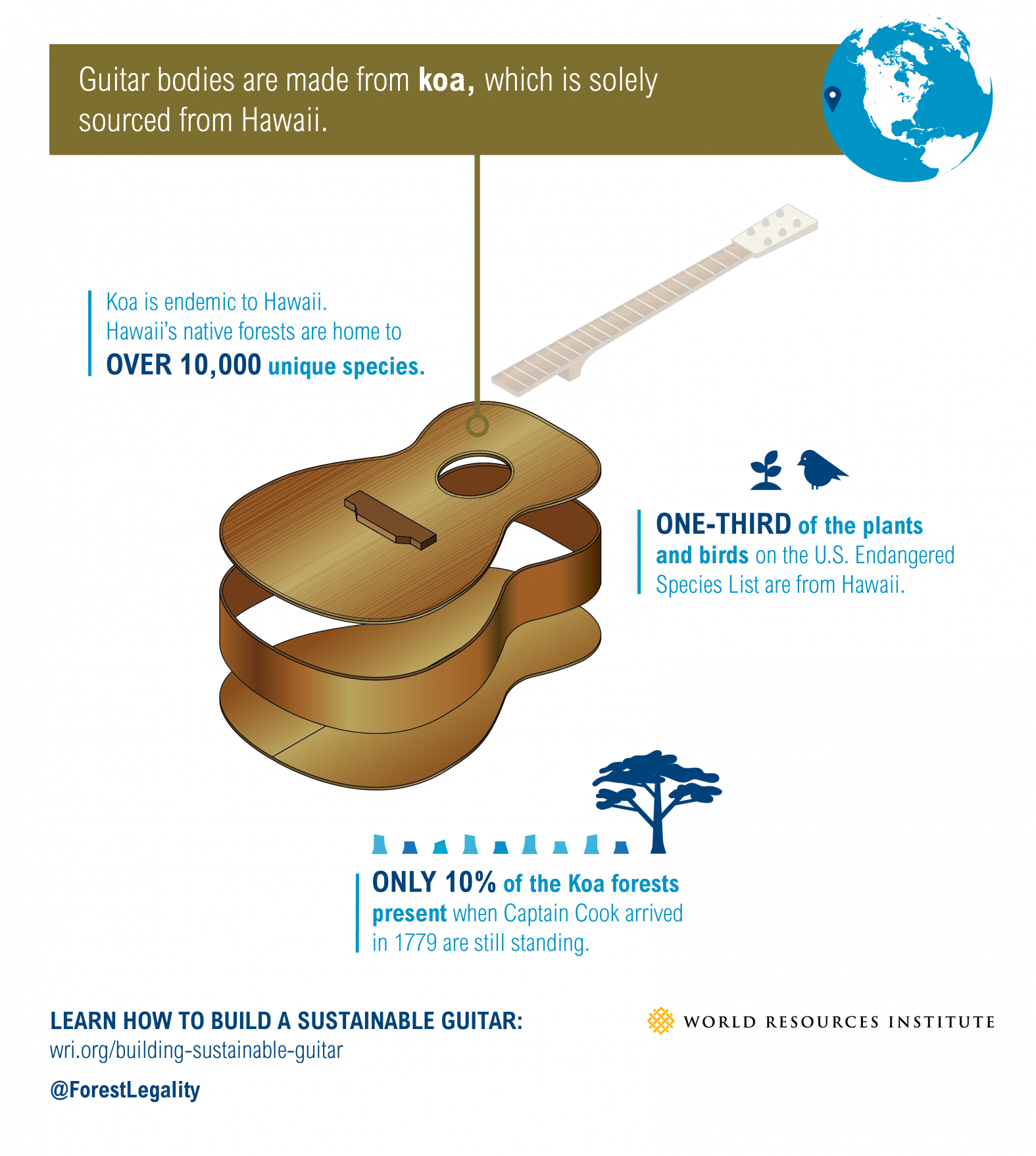 Learn how to build a sustainable guitar