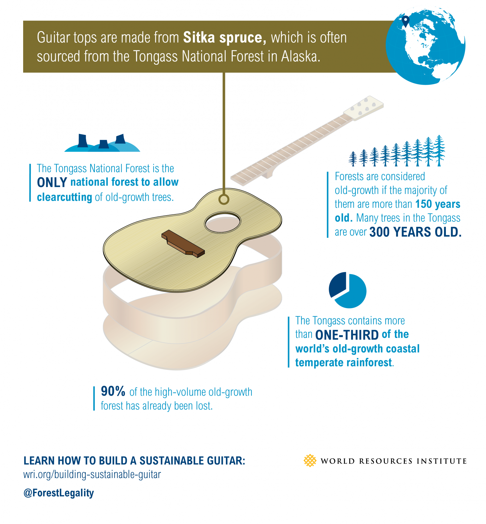 Building a sustainable guitar: sitka spruce
