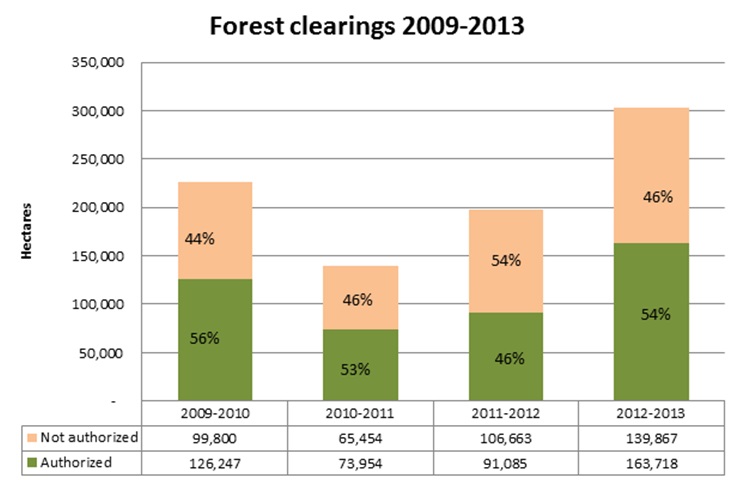 Forest clearings mato grosso