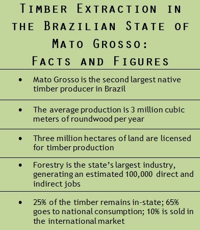 Timber extraction mato grosso